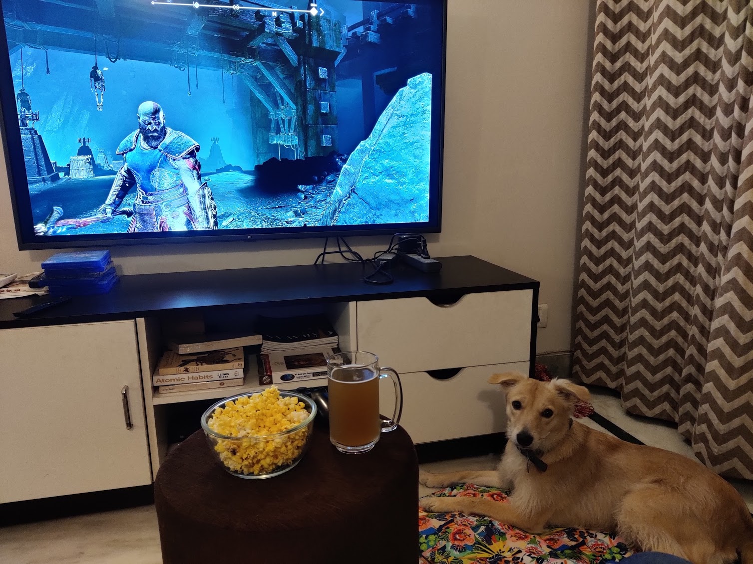 Dog, Beer and Popcorn